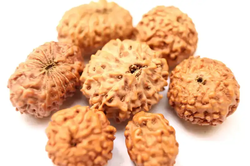 RudrakshaBeads