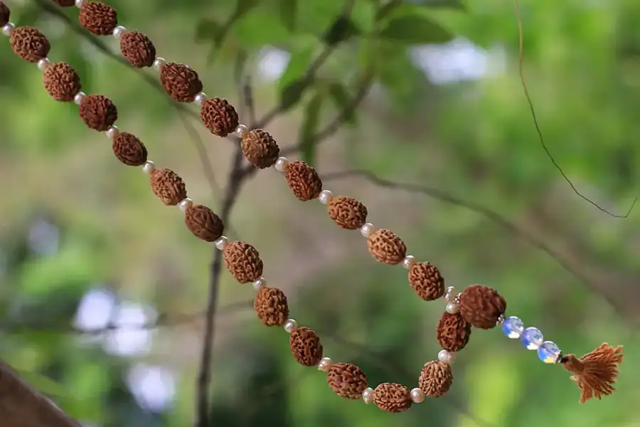 Rudraksha mala with 36 beads and 108 mukhi's